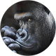 Harun Enecur profil fotoğrafı