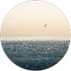 Hakanjx profil fotoğrafı