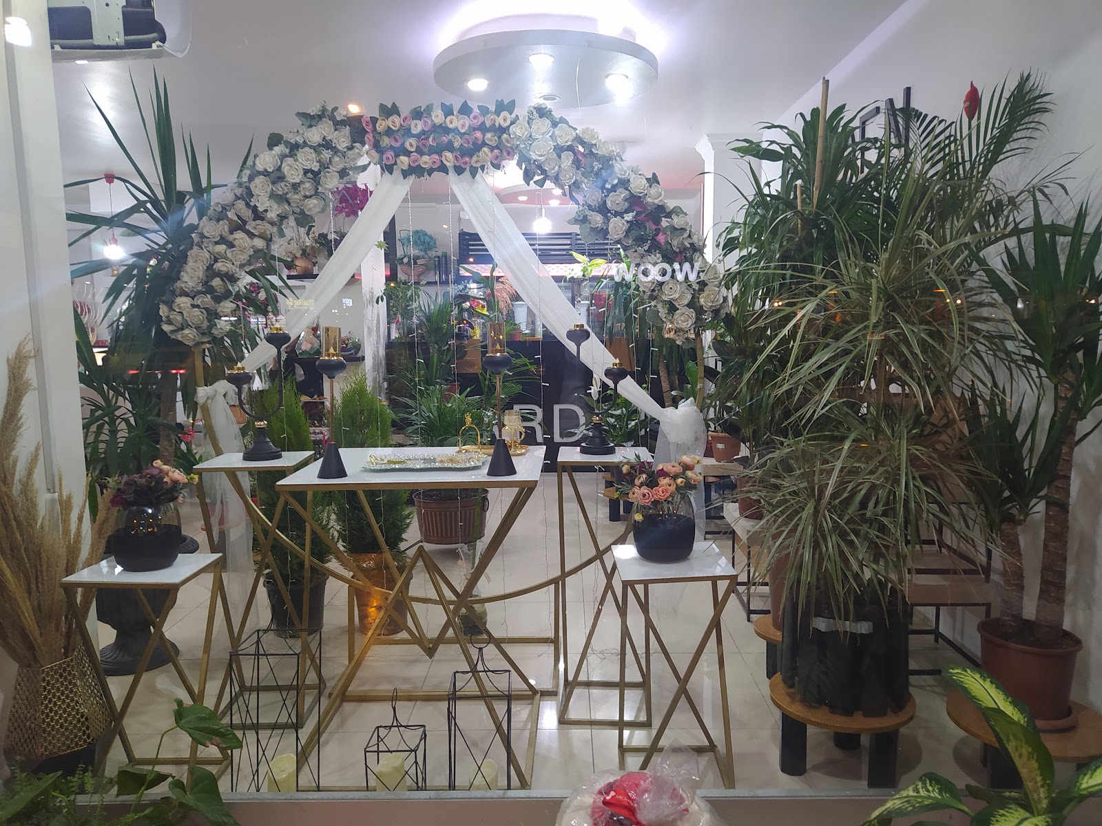Batman Garden Flowers Çiçek