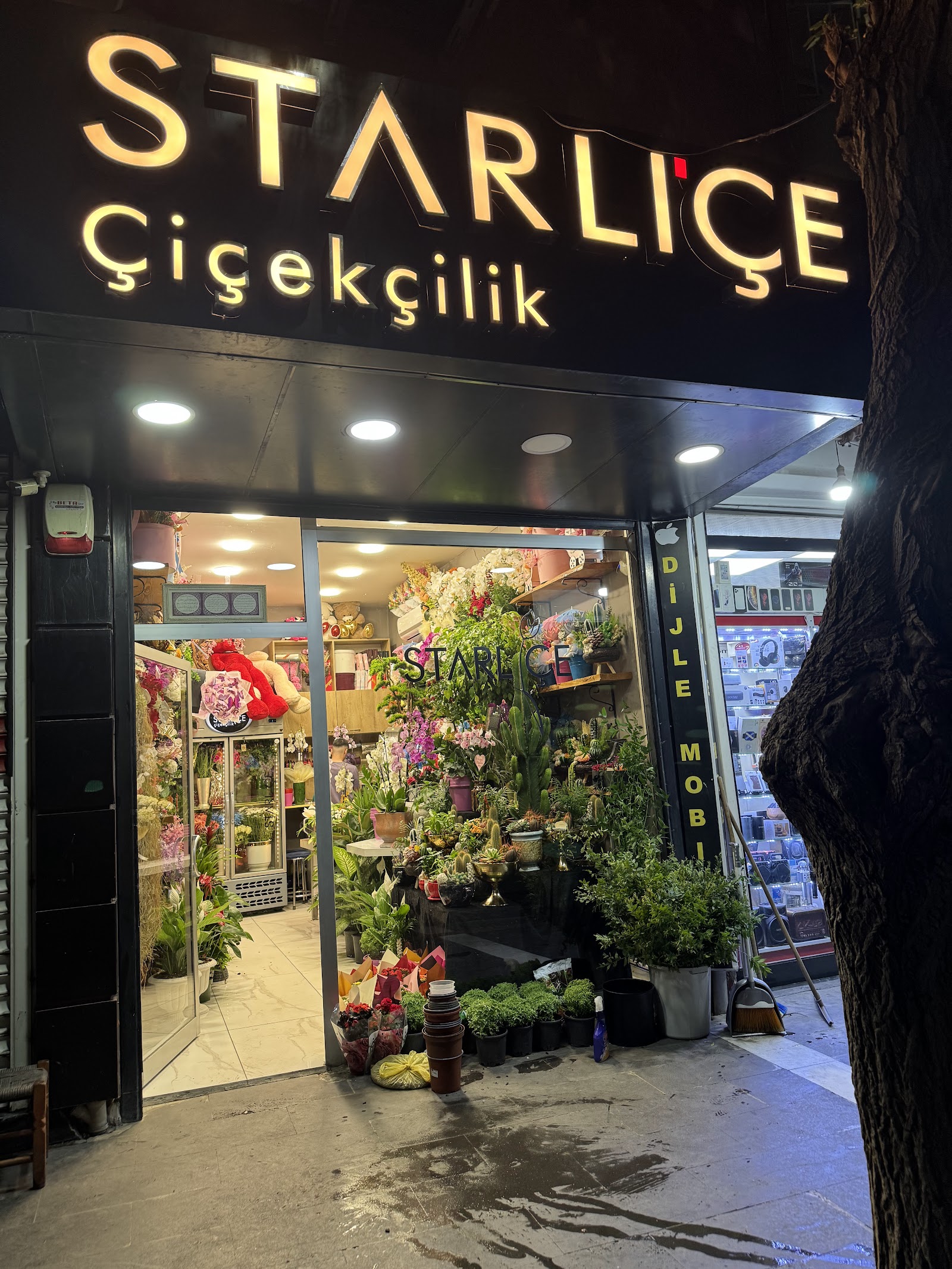Starliçe Çiçekçilik kır düğünü mekanı — Merkez