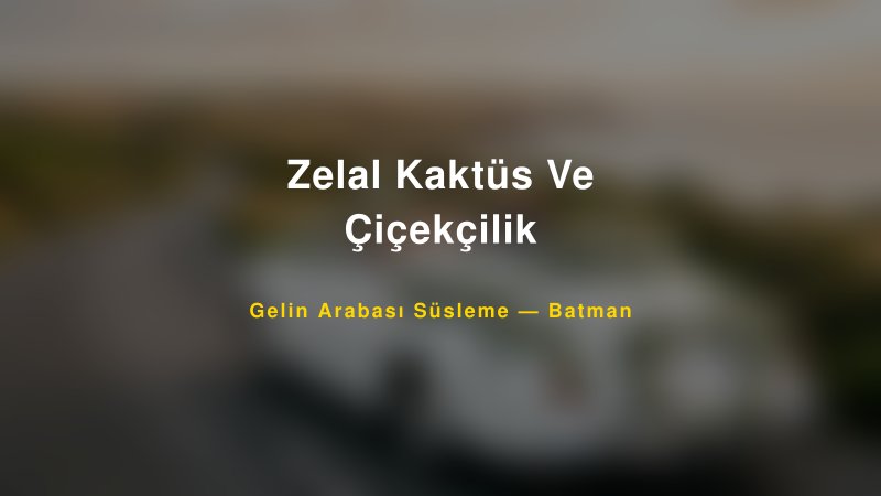 Zelal Kaktüs Ve Çiçekçilik — Batman Kır Düğünü Mekanı Rehberi